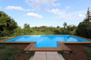 Villa Felix with spectacular pool in green oasis